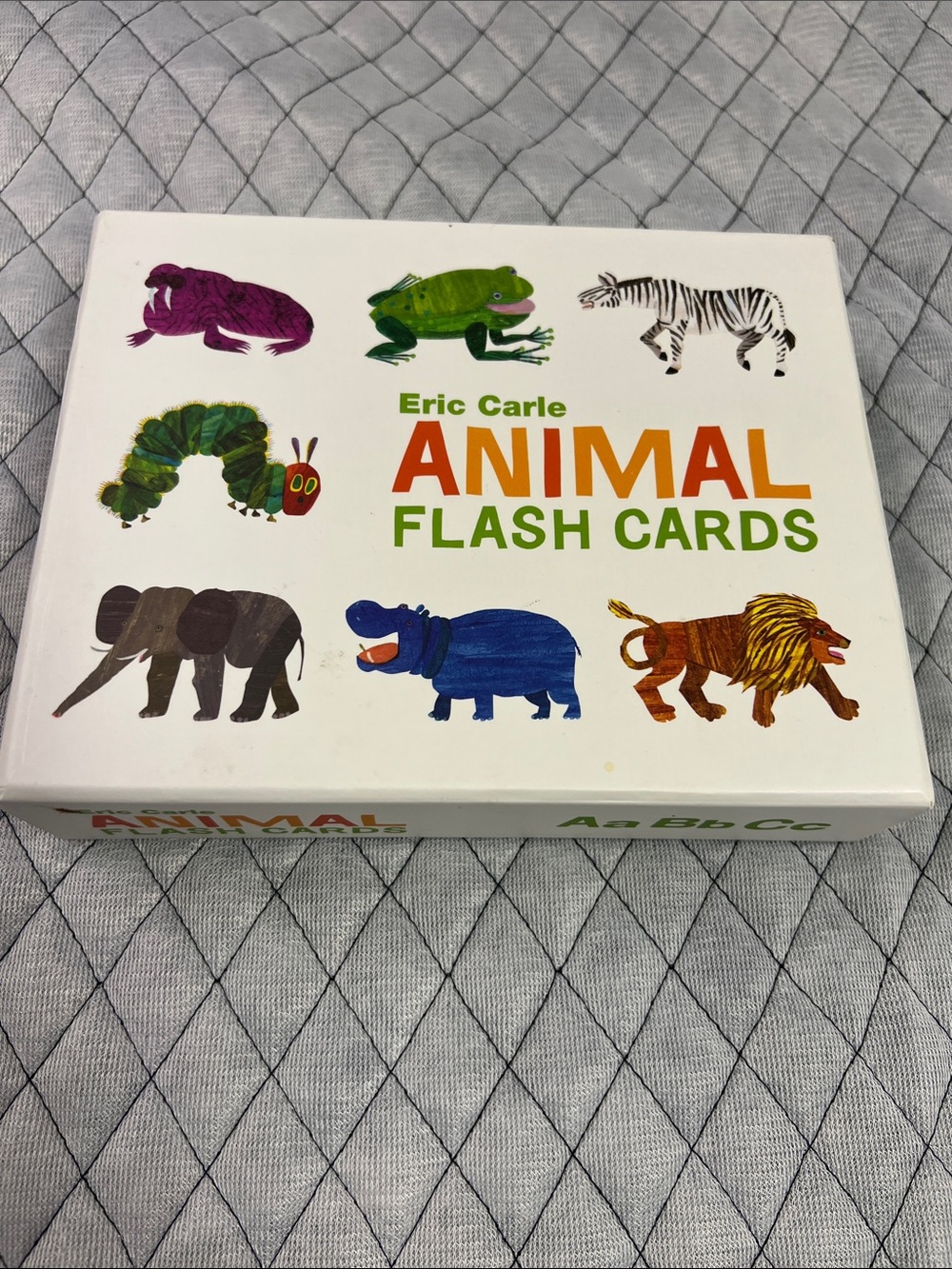 Animal Flash Cards - Multi Color